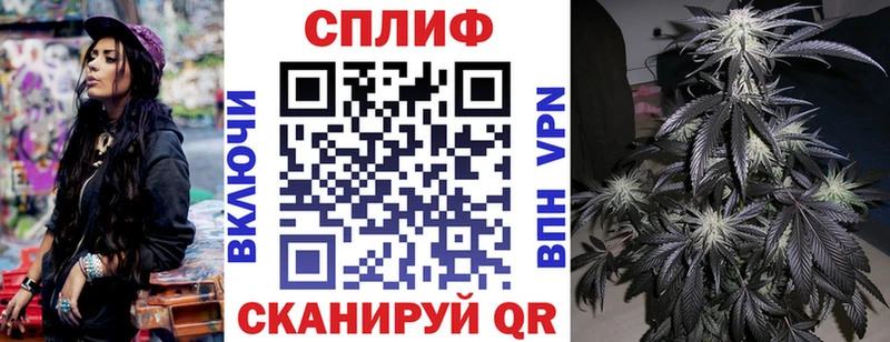 Где купить Новая Усмань COCAIN  МЕФ  АМФ  блэк спрут рабочий сайт  СОЛЬ  Канабис  Вейп ТГК 