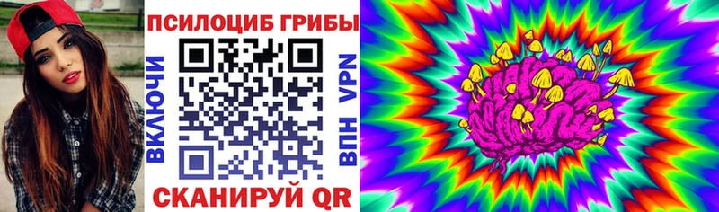мега зеркало  Новая Усмань  Псилоцибиновые грибы MAGIC MUSHROOMS 
